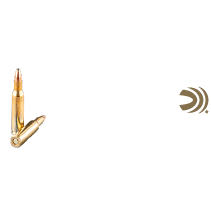 Federal 223 Ammo icon