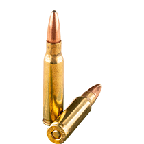 Bulk 308 Ammo icon