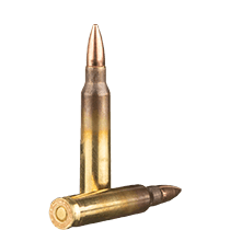 Bulk 5.56 Ammo icon