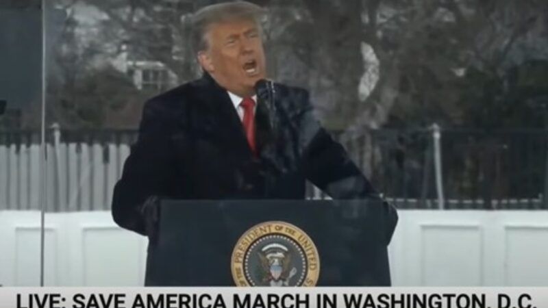 Donald Trump at the Save America March in January 2021 | YouTube