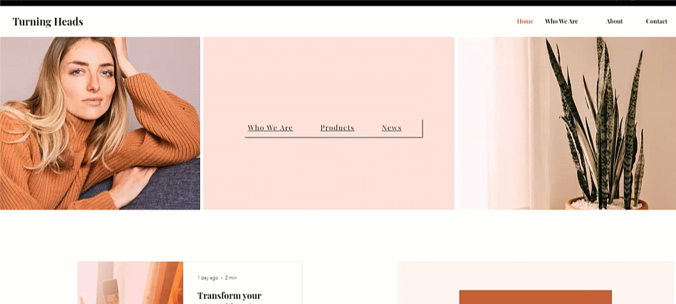 A GIF showing a lightbox popping up on a Wix live site.