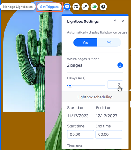 The settings panel of a lightbox. The cursor is hovering over the delay field.