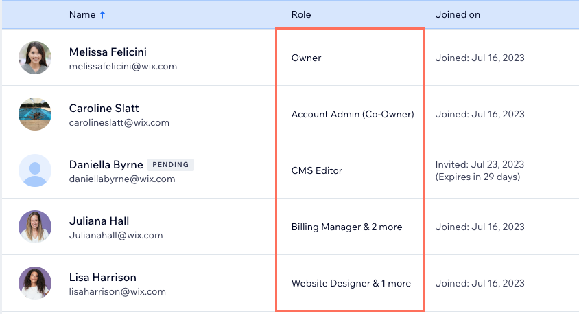 Une capture d'écran de votre équipe et des rôles attribués dans votre espace de travail Wix Studio.