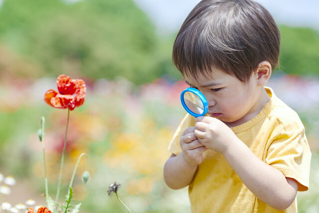 子どもの虫嫌いは親から!?昆虫との触れ合いで表れる変化を生物学者に聞く