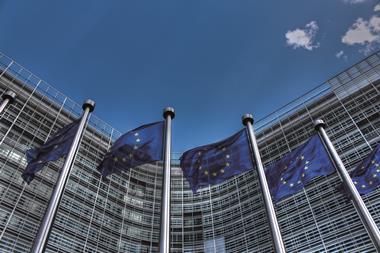 EU FLAGs Brussels