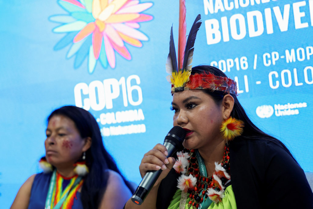 16th United Nations Biodiversity Summit (COP16), in Yumbo