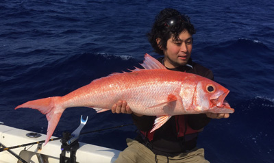 深海魚には脂がよく乗っていておいしいものが多い。たとえばハマダイの仲間だとかキンメダイ類だとか