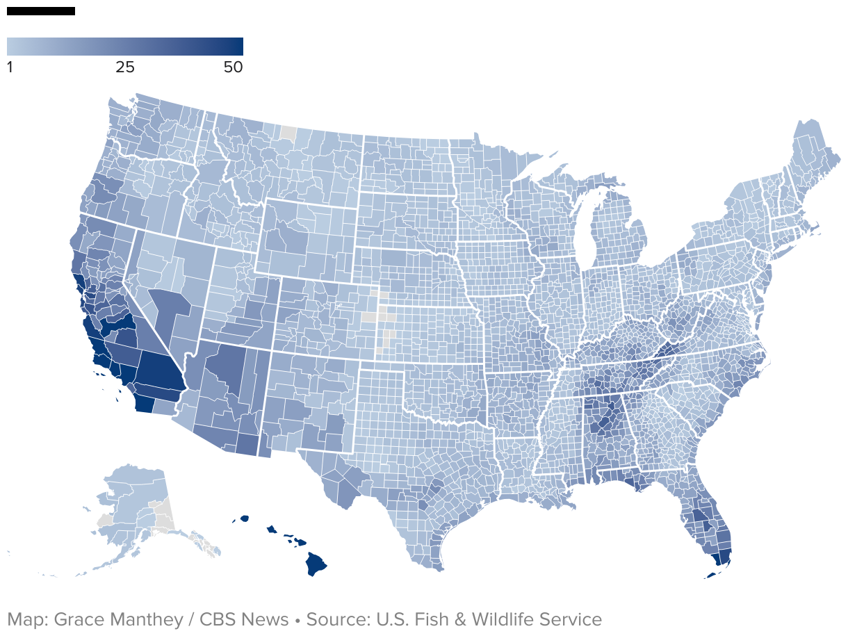 A map showing the number of endangered threatened species by county, colored in shades of blue. Hawaii, Southern California, and Southern Florida have the highest numbers.