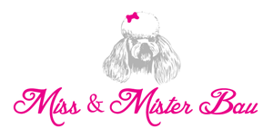 Logo Design by wmcool for MISS & MISTER BAU DI MAZZUCCO LARA E C. S.N.C. | Design #5817232