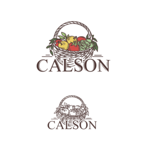 Calson | Logo Design by Veronika K.