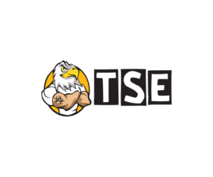 TSE | Logo Design by alan manninz