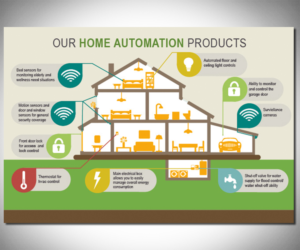 Infographic Design by Alison