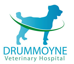 Logo Design by M.A.R.K. for Drummoyne Vets | Design #1870160