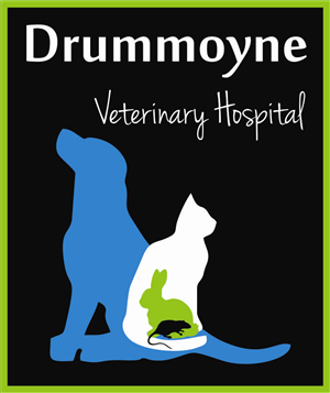 Logo Design by bionic babe for Drummoyne Vets | Design #1852104