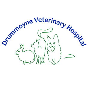 Logo Design by Tori33 for Drummoyne Vets | Design #1844004