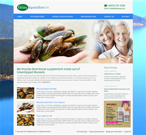 Healthy Products Company Needs to Refresh Their Web Image | Web Design by OM