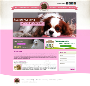 Rainbow Row Labradoodle web design | Web-Design von AVROM