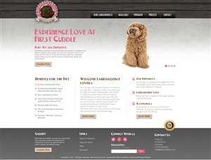 Rainbow Row Labradoodle web design | Web-Design von TechWise