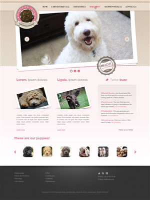 Rainbow Row Labradoodle web design | Web-Design von studio-sfp.com