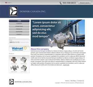 New website design for a steam trap company | Web Design by Lawrence Conde