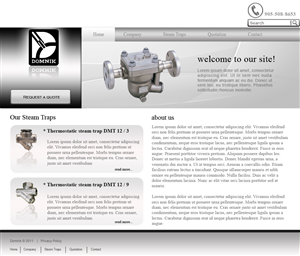 New website design for a steam trap company | Web Design by Desire Design Solutions