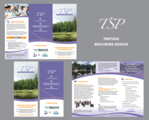 Consulting Practice for Charities Needs A Brochure Deisgn | Flyer Design by Achiver