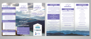 Flyer Design by Victor_pro for Taylor Strategic Partnerships, LLC | Design: #9837739