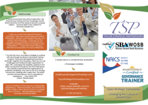 Flyer Design by Elbe for Taylor Strategic Partnerships, LLC | Design #9872409