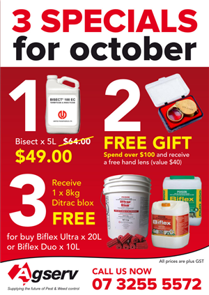 Agserv October specials | Flyer Design by Atvento Graphics