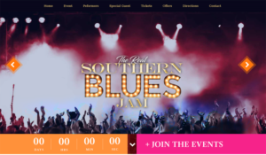 THE REAL SOUTHERN BLUES JAM---a CONCERT | Web Design by Expert Designer