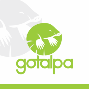 GoTalpa (or Gotalpa / gotalpa?) | Logo Design by Gigih Rudya