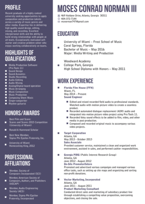 Resume Design by alhemique1