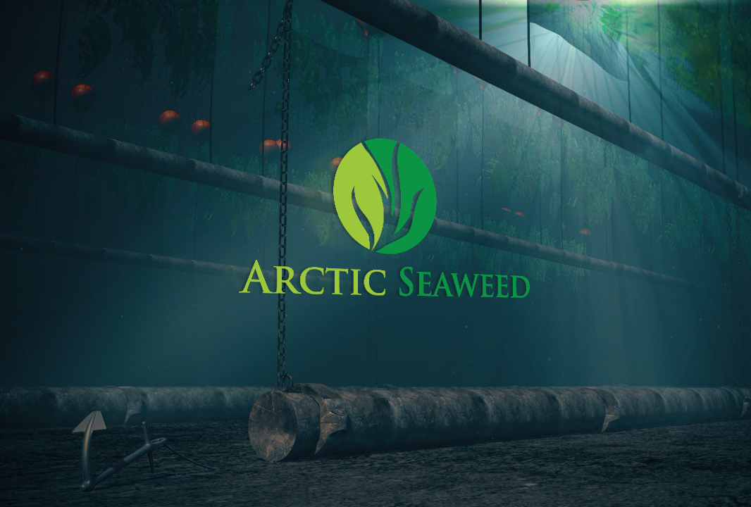 Logo-Design von carabuenaeffect für Arctic Seaweed AS | Design #12750391