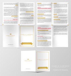 Hair Extension Aftercare sheet | Flyer-Design von - SWING -