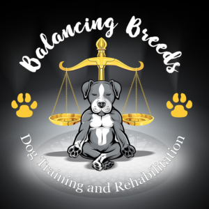  Dog training logo | Illustration Design by icirotrisna