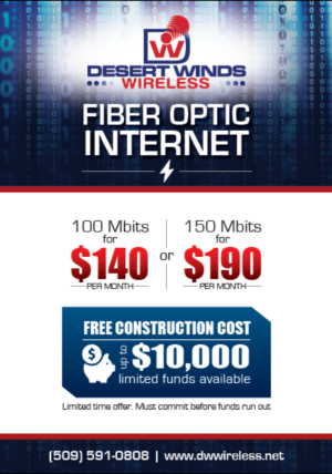 Fiber Optic Internet flyer promotion Winter 2016-2017 | Flyer Design by vinz