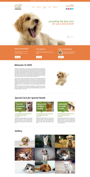 Homepage design competition to choose a designer for $1500 full website for a Small Animal Veterinar | Web Design by Omee