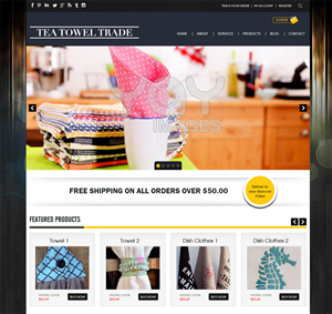 Wordpress theme customised please - for new ecommerce homewares website | Wordpress Design by Expert Designer