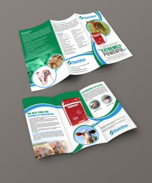 Brochure Design by creative.bugs