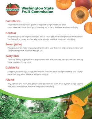 Apricot Variety Sheet - Washington Stone Fruit | Flyer-Design von aniep