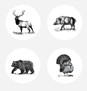 4-piece dinnerware autumn wild animals | Illustration Design by alex989