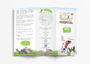 Veterinary Hospital Brochure - 2 Drafts - 1 Normal and 1 Fun. | Flyer Design by - SWING -