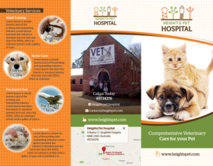 Veterinary Hospital Brochure - 2 Drafts - 1 Normal and 1 Fun. | Flyer Design by D Creative