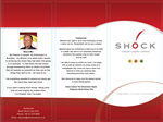 Brochure Design by LFS Designs