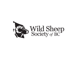 Wild Sheep Society of British Columbia | Logo Design by Buck Tornado