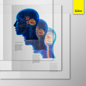 transparent 3D concussion booklet | Brochure Design by Syahrol