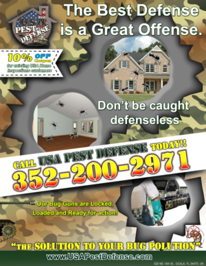 Flyer Design by Jay for USA Home Inspections | Design #16405227