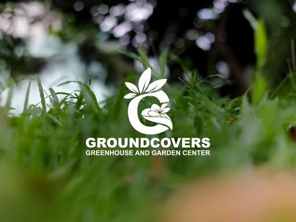 Logo Design by rastf2day for Groundcovers Greenhouse | Design #16524269