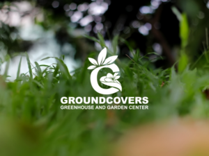 Logo Design by rastf2day for Groundcovers Greenhouse | Design: #16524269