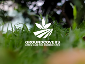 Logo Design by rastf2day for Groundcovers Greenhouse | Design: #16524273